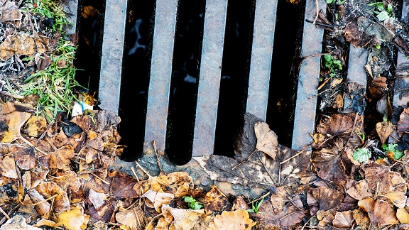 Clearing Blocked Drains in Bristol Prompt and Professional Services
